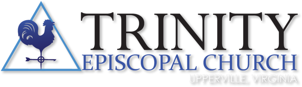 Trinitylogo Website Format=1500w Clipart (1000x298), Png Download