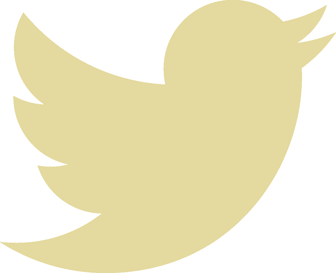 Follow Us - White Twitter Png Vector Clipart (1139x926), Png Download