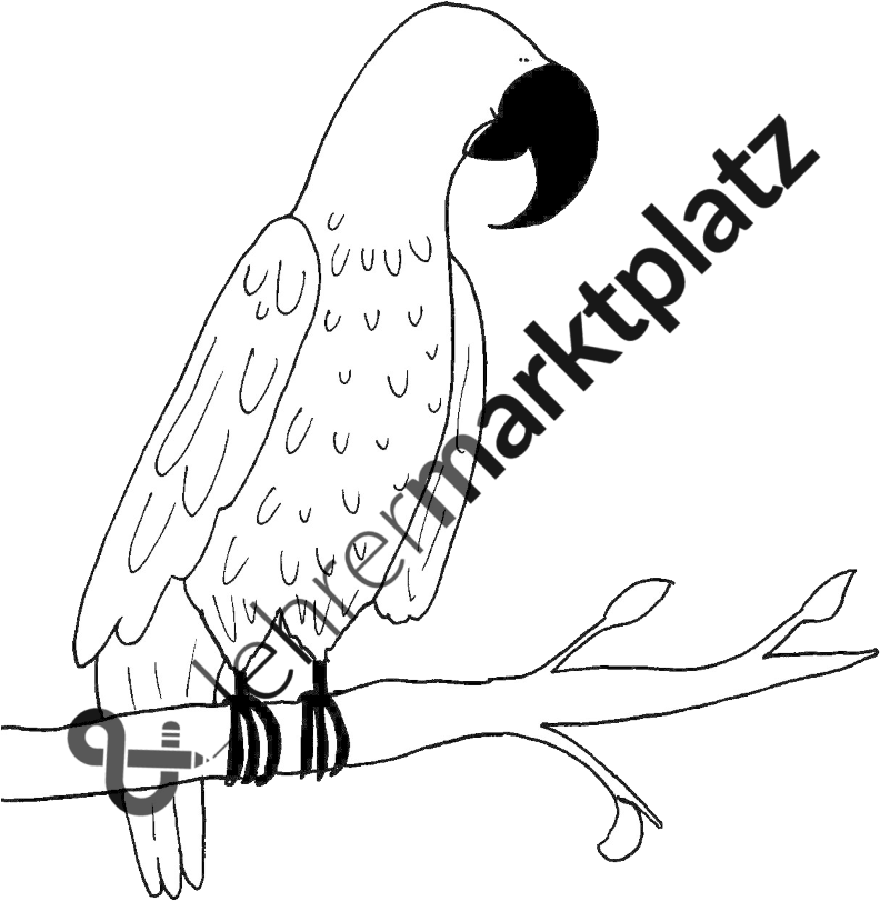 ‹ › - Place Card Clipart (800x907), Png Download