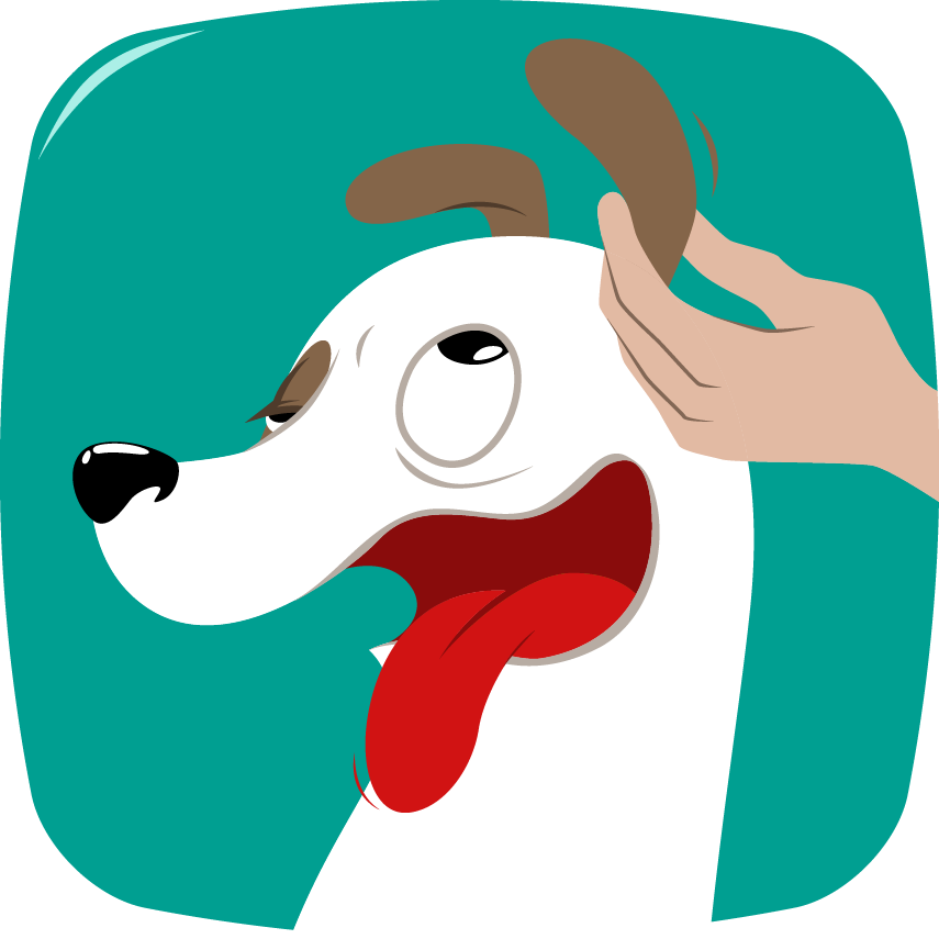 Nettoyage Oreille Chien Massez La Base De L'oreille - Dog Clipart (855x855), Png Download