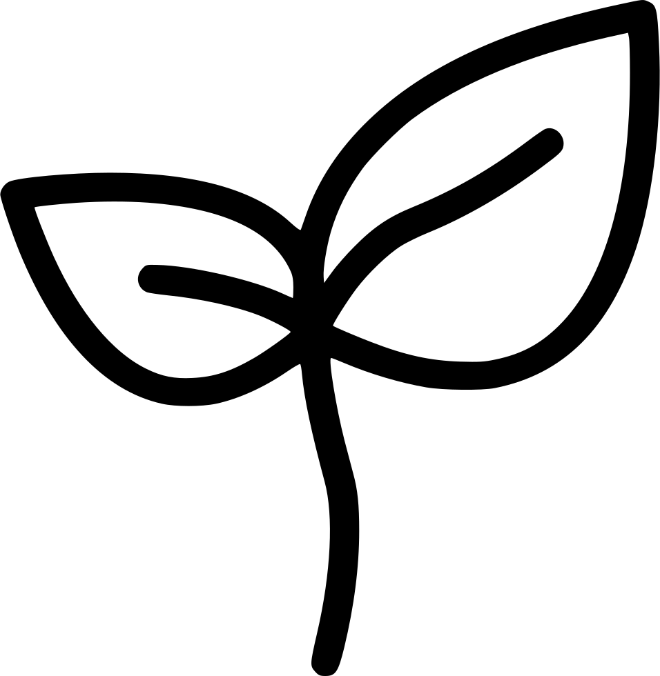 Png File - Sprout Icon Png Clipart (956x980), Png Download