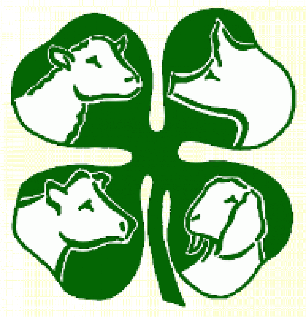 4 H Clipart Free - 4 H Livestock - Png Download (1170x1212), Png Download