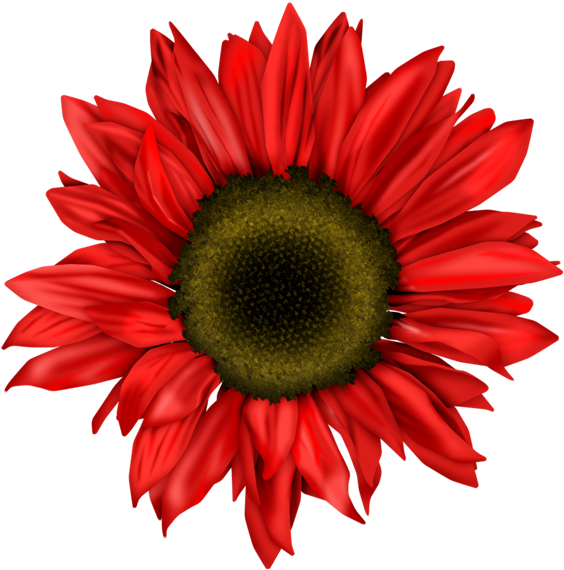 0 57195 364c092f Orig - Red Gerbera Flower Clipart (600x585), Png Download
