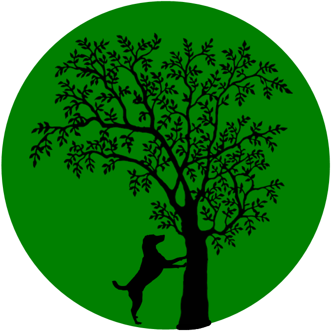 Old Chads Orchard - Grimm's Fairy Tales: 64 Dark Original Tales - Clipart (677x677), Png Download