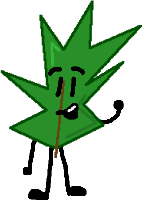 Sss Pine Needle - Portable Network Graphics Clipart (800x800), Png Download