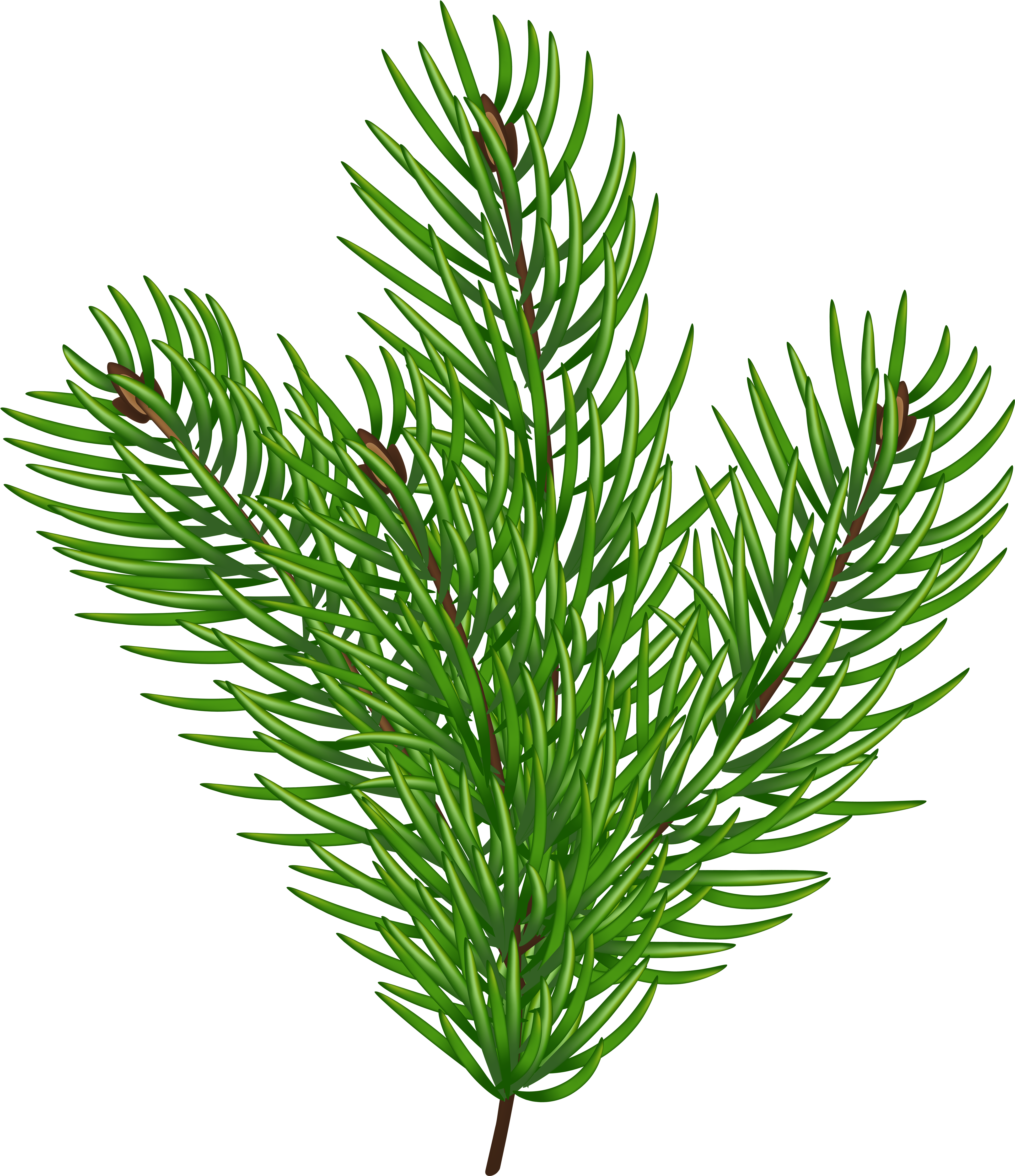 Clip Art - Png Download (4326x5000), Png Download