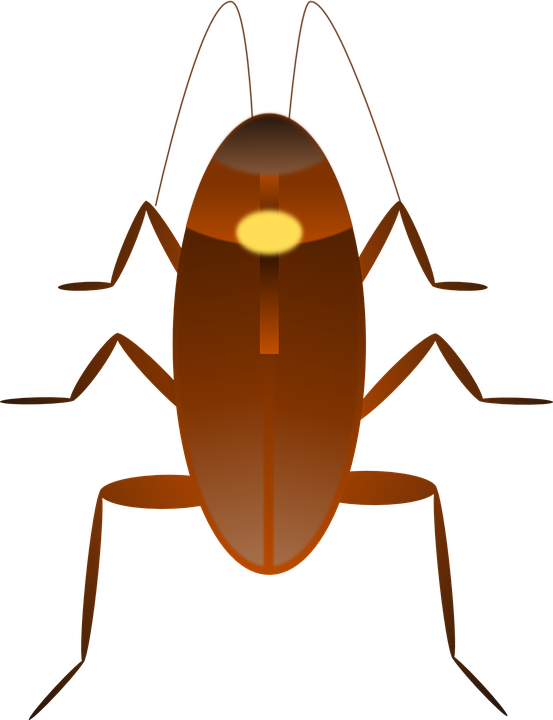 Sad Insects Cliparts 26, Buy Clip Art - Kecoa Vector - Png Download (553x720), Png Download