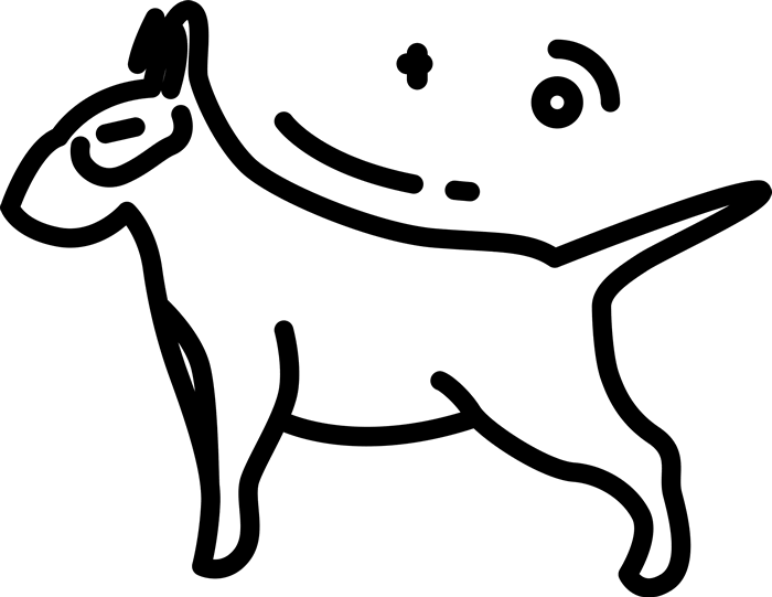 Bull Stamp Sketch Dog - Bull Terrier Clipart (700x541), Png Download