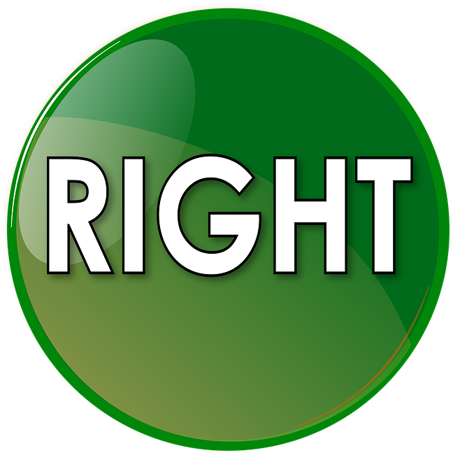 Vote Signs Pictures 9, Buy Clip Art - Right Tick Green - Png Download (740x720), Png Download