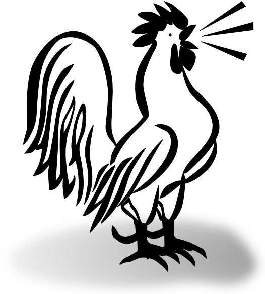 French Cockerel W Shaddow Clip Art - Rooster And Chicken Cartoon - Png Download (540x596), Png Download