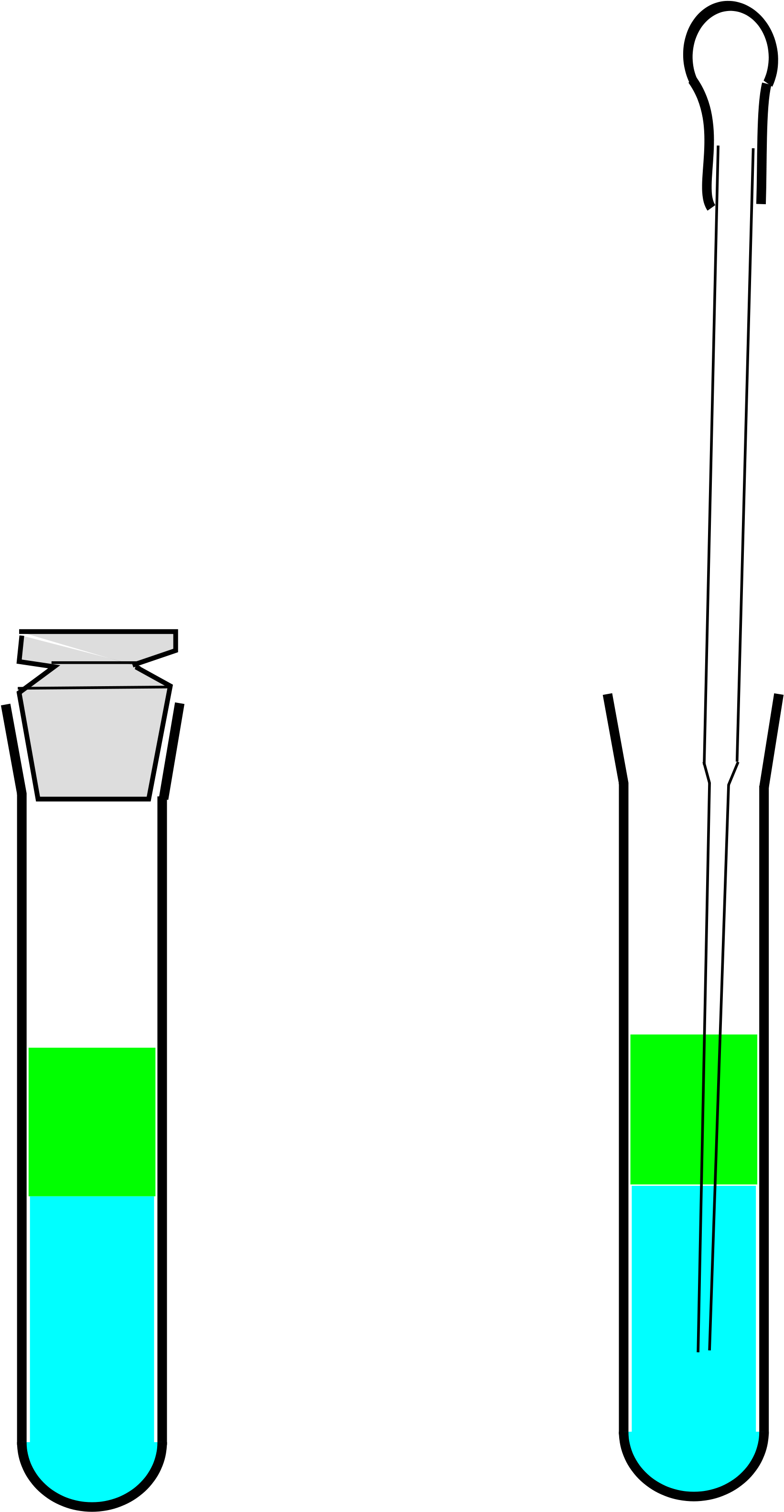 Test Tube Picture 20, Buy Clip Art - Reagenzglas Zwei Phasen - Png Download (2000x3605), Png Download