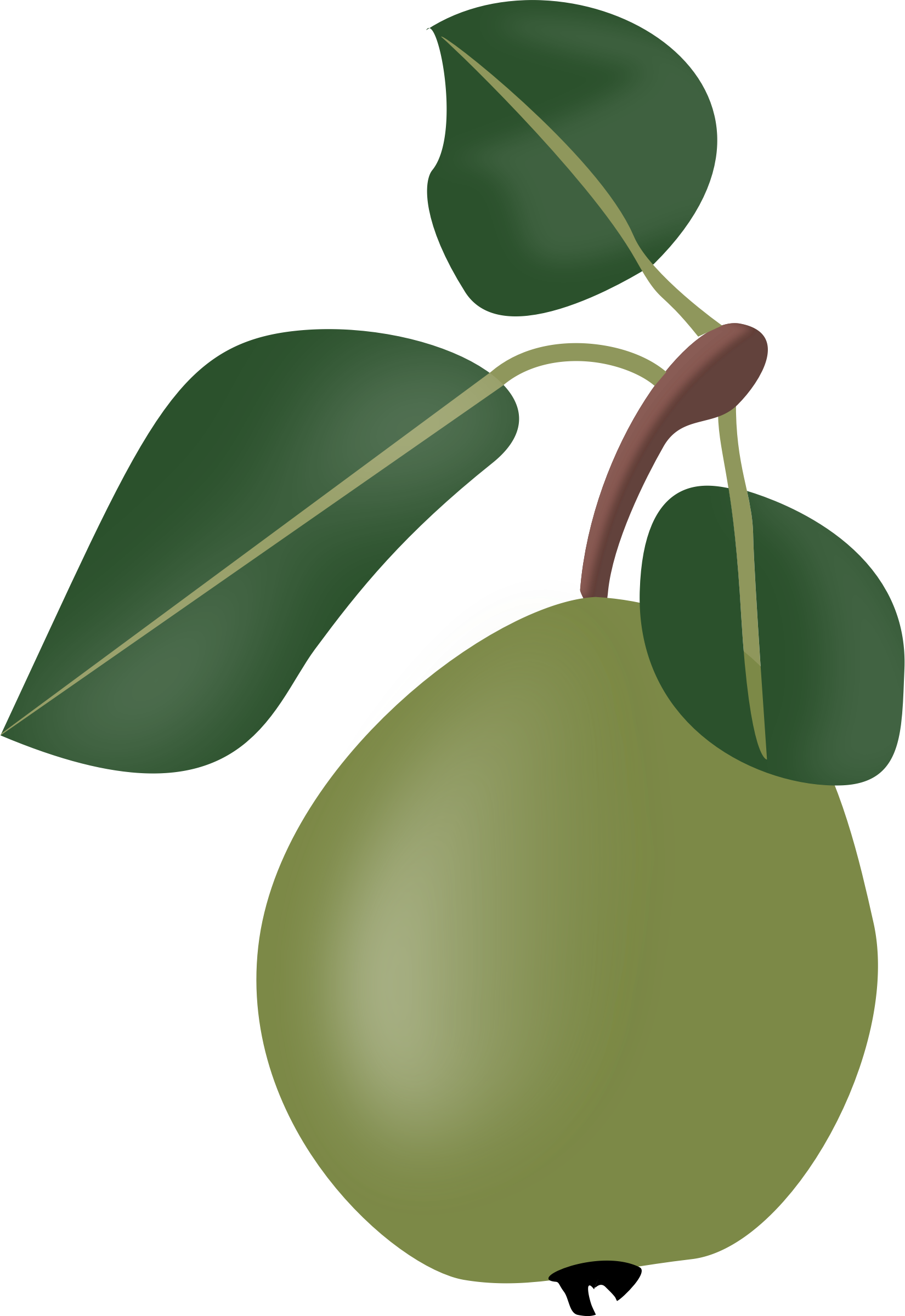 Big Image - Custom Pear With Stem Shower Curtain Clipart (1650x2400), Png Download
