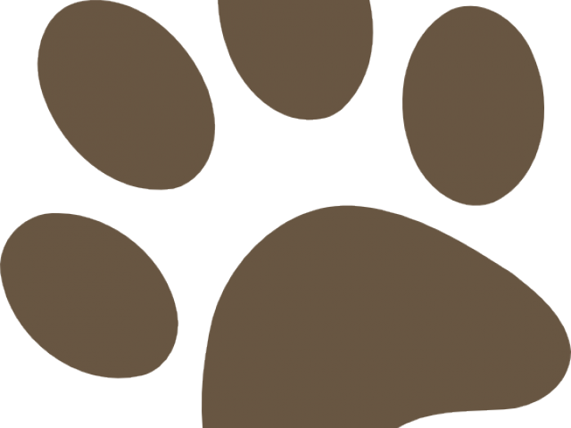 Vector Swirl Clipart Paw Print - Dog - Png Download (640x480), Png Download