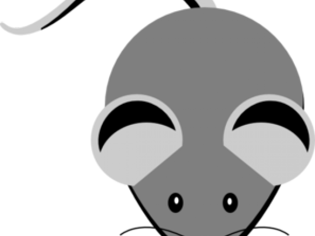 Grey Clipart Clip Art - Grey Clipart - Png Download (640x480), Png Download