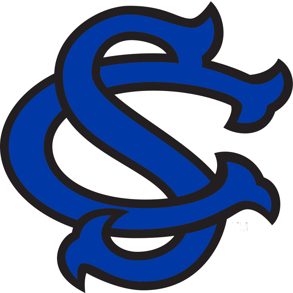South Carolina Gamecocks Sc Clipart (1024x1024), Png Download