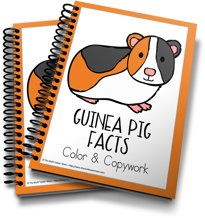 Guinea Pig - Captured Memories Workbook: Looking Back [book] Clipart (900x983), Png Download