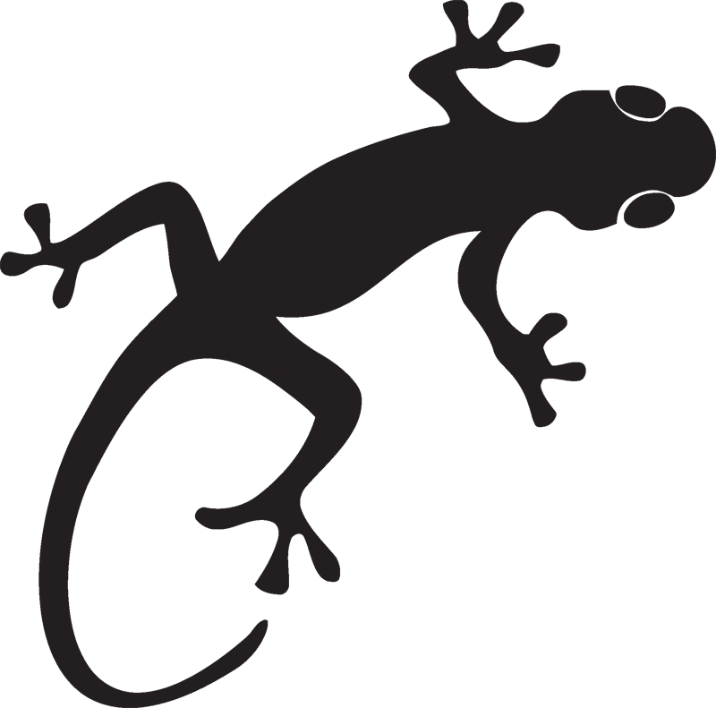 Gecko Clipart Silhouette - Gecko Silhouette Png Transparent Png (800x791), Png Download