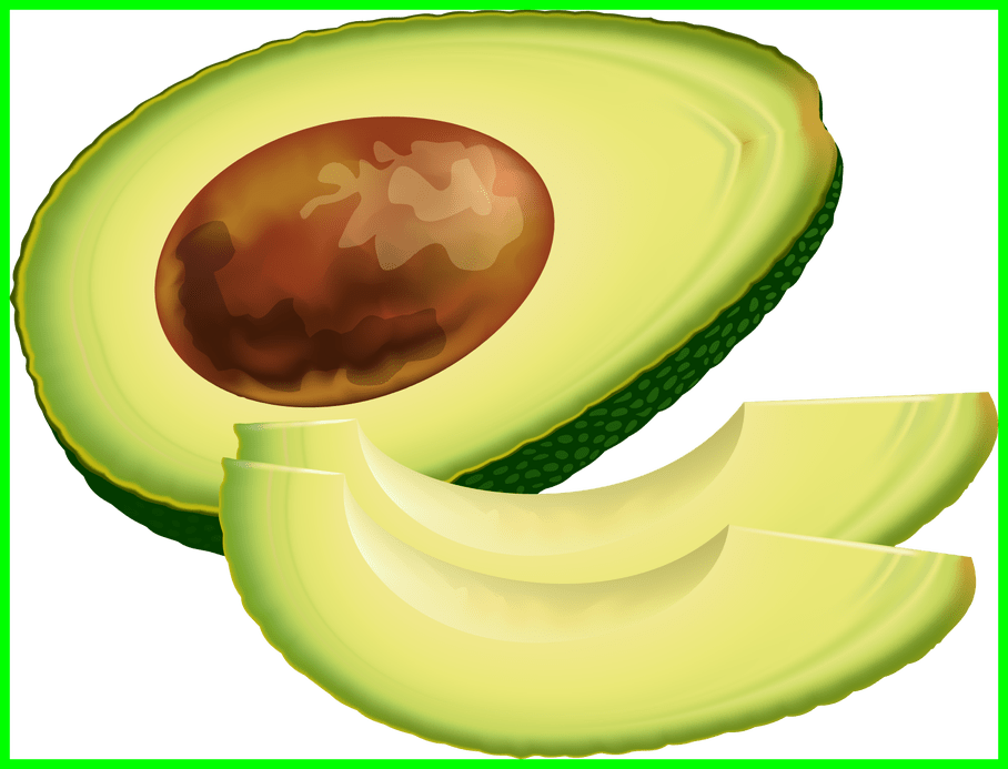 Inspiring Fruit Vegetable Feebase Net Of Garlic - Avocado Clip Art Free - Png Download (908x693), Png Download