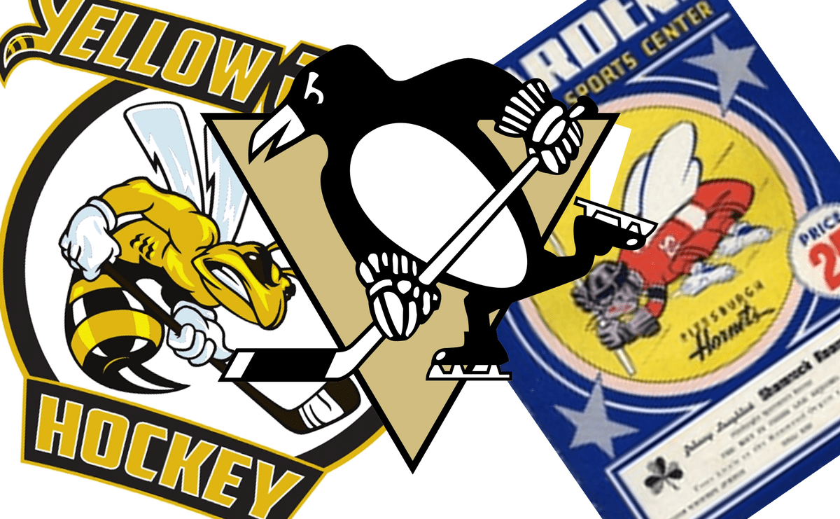 Crowd Clipart Hockey - Pittsburgh Penguins Blankets - Png Download (1200x741), Png Download