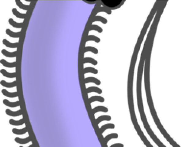 Bacteria Clipart Color - Organism Png Transparent Png (640x480), Png Download