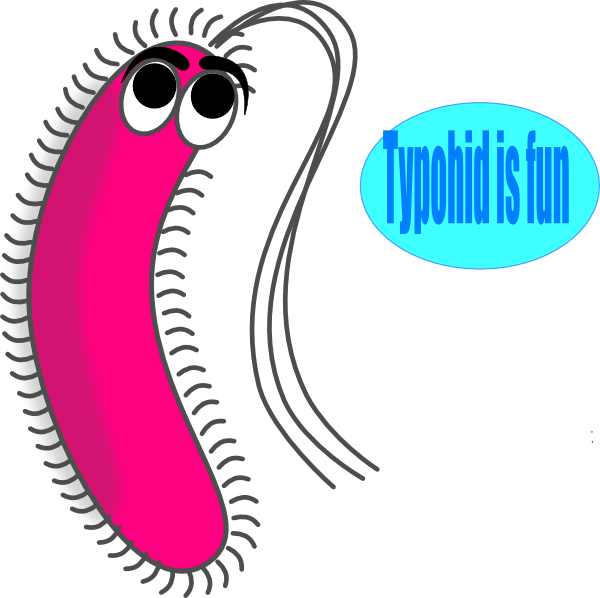 Funny Germs Cliparts - Gram Positive Bacteria Cartoon - Png Download (600x598), Png Download