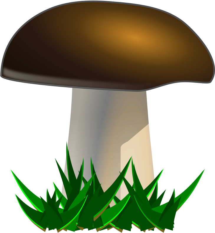 Fairies Gnomes And Mushrooms Clip Art Vector - Mushroom Clipart - Png Download (564x598), Png Download