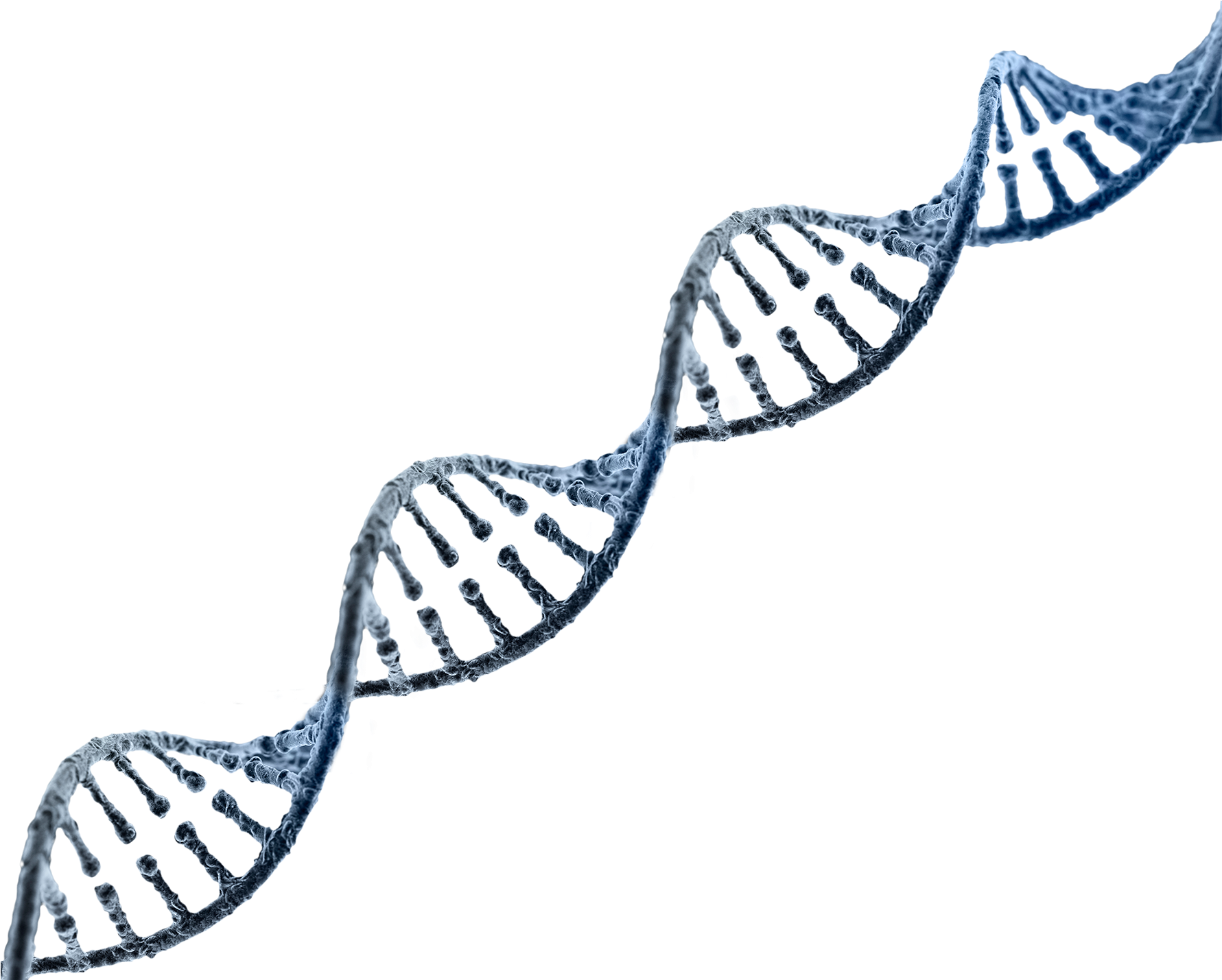 Strand Images Reverse Search Clipart (1780x1444), Png Download