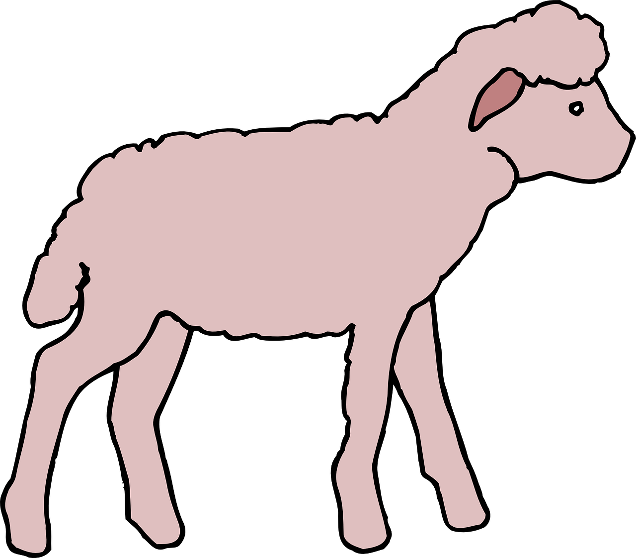 Portable Network Graphics Clipart Sheep Clip Art Cordeiro Desenho Png Transparent Png Full Size Clipart 146623 Pinclipart