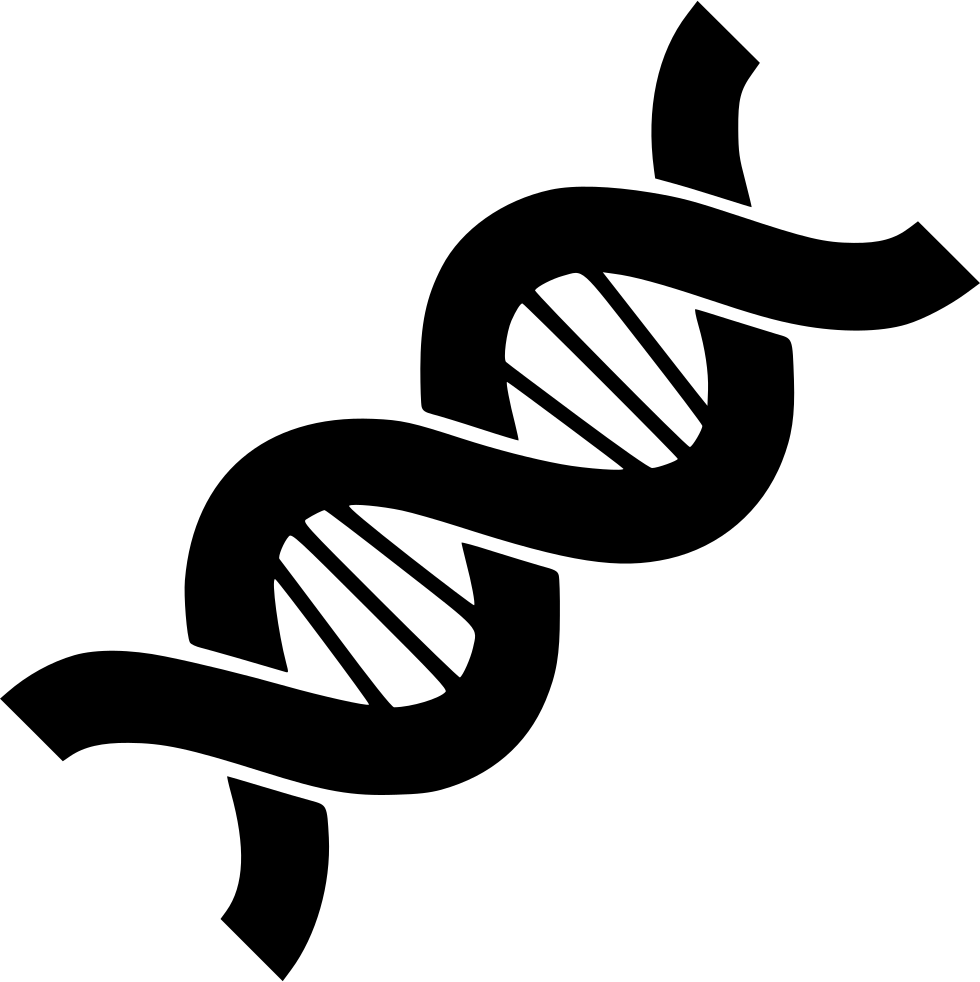 Clip Free Stock Biology Structure Chain Helix - Genetics Png Transparent Png (980x982), Png Download