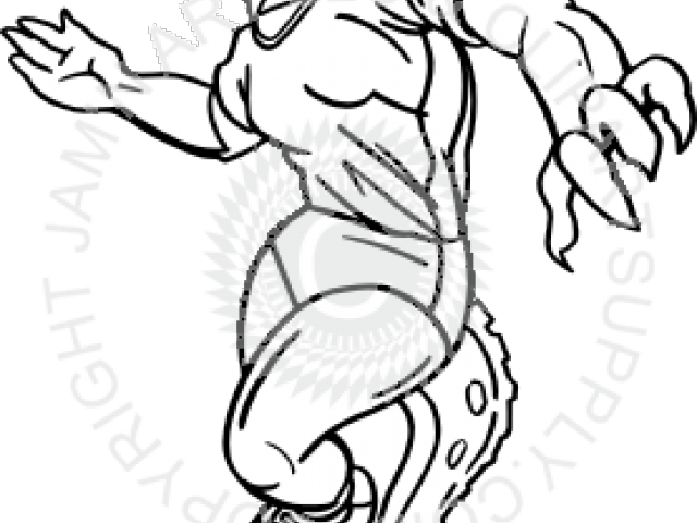 picture How To Draw A Florida Gator volleyball clipart gator florida