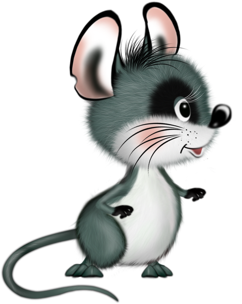 Фото, Автор Cutepictures На Яндекс - Myš Clipart - Png Download (1024x1024), Png Download