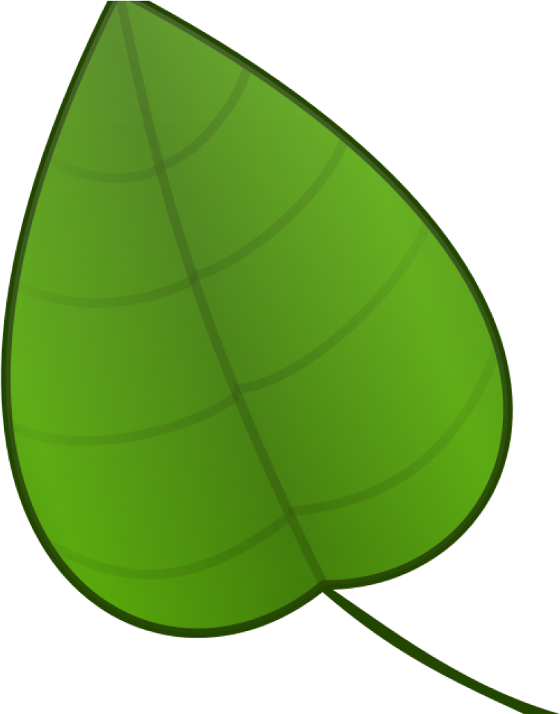 Free Clip Art Green Leaf - Leaf Clip Art - Png Download (1024x1024), Png Download