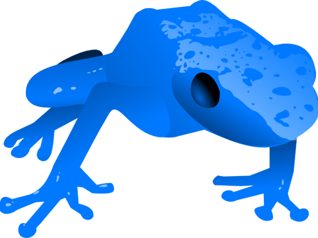 Poison Dart Frog Clipart Yellow Frog - Png Download (640x480), Png Download