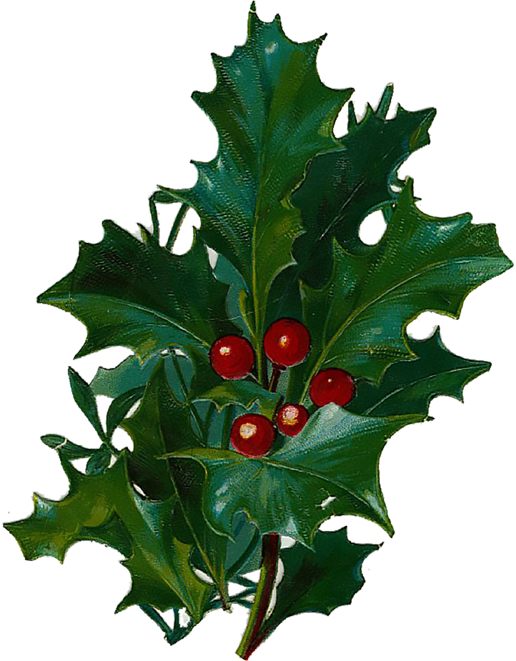 Vintage Victorian Christmas Die Cut Clip Art Days Nine, - Cafepress Christmas Holly 2 84" Curtains - Png Download (750x960), Png Download