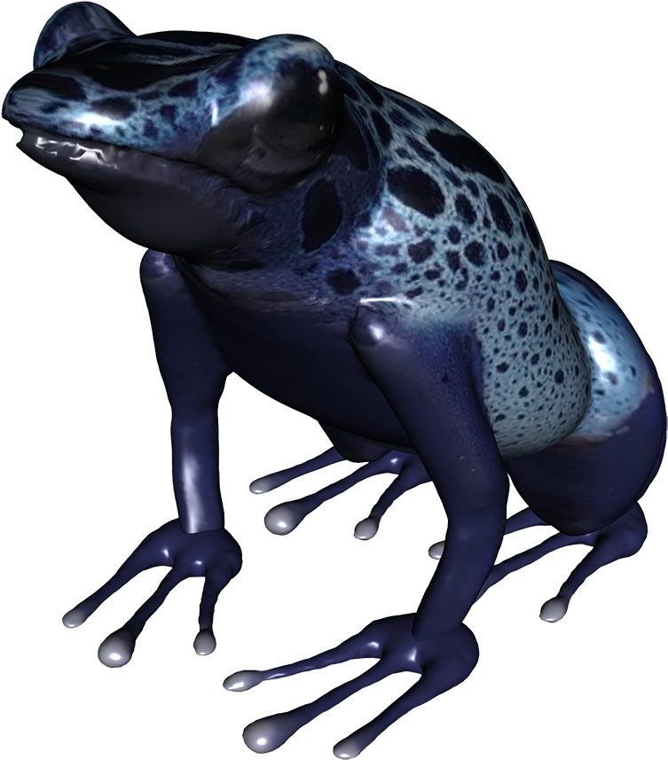 Clip Art Underside Of Png Blue - Poison Dart Frog Png Transparent Png (945x945), Png Download