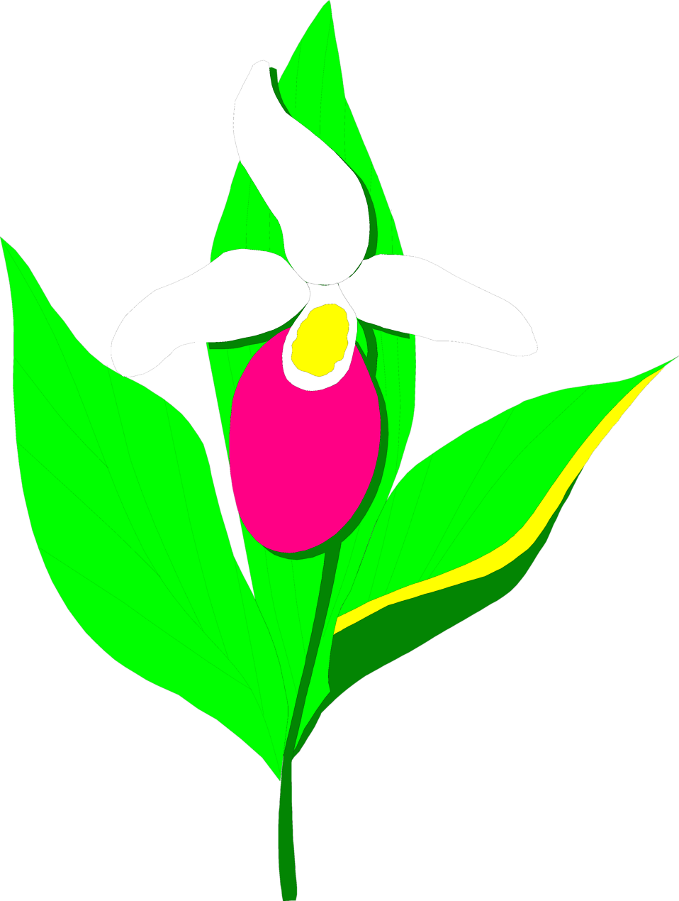 Orchid Flower Clip Art - Clip Art - Png Download (958x1270), Png Download