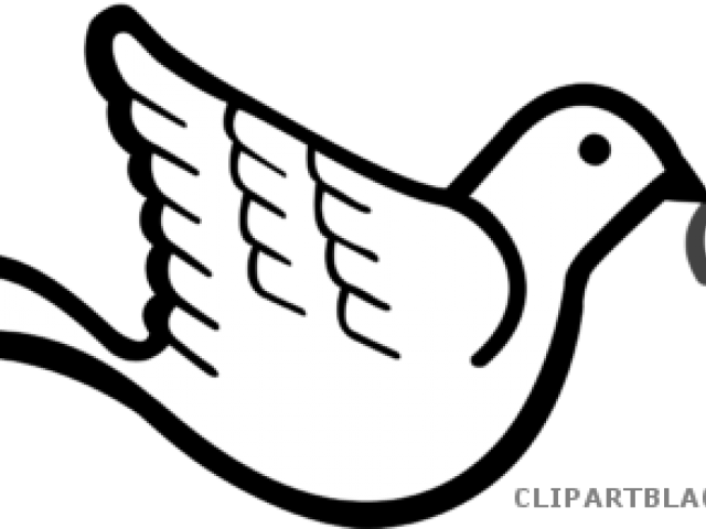 Dove With Olive Branch Clipart (640x480), Png Download