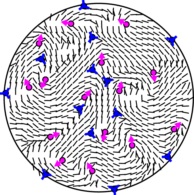 Circle Clipart (673x679), Png Download