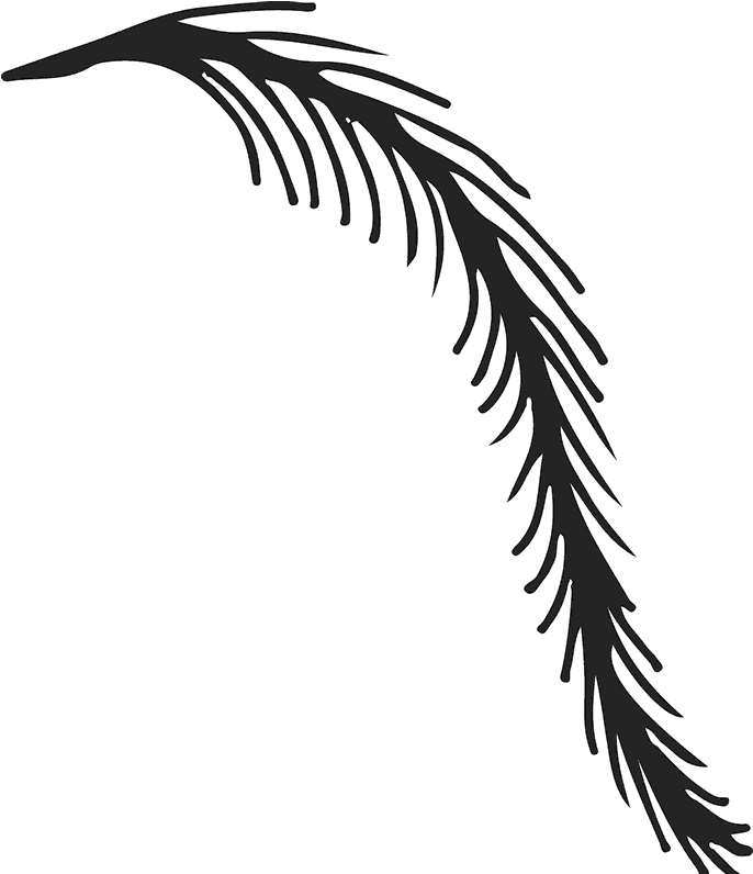 Weeping Willow Branch Rubber Stamp - Illustration Clipart (800x800), Png Download