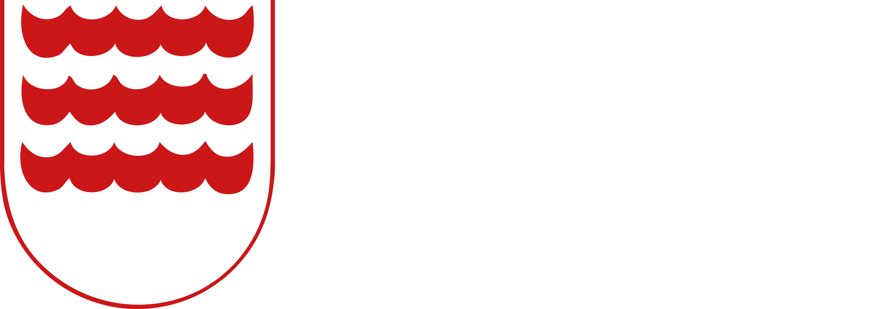 Subscribe To Our Newsletter By Entering Your Email - Pwtag Clipart (3088x1083), Png Download