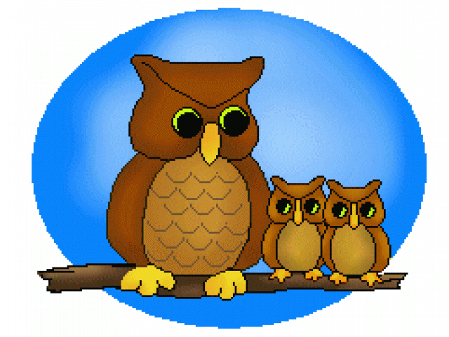 Snowy Owl Clipart Branch - Owl Clip Art - Png Download (640x480), Png Download