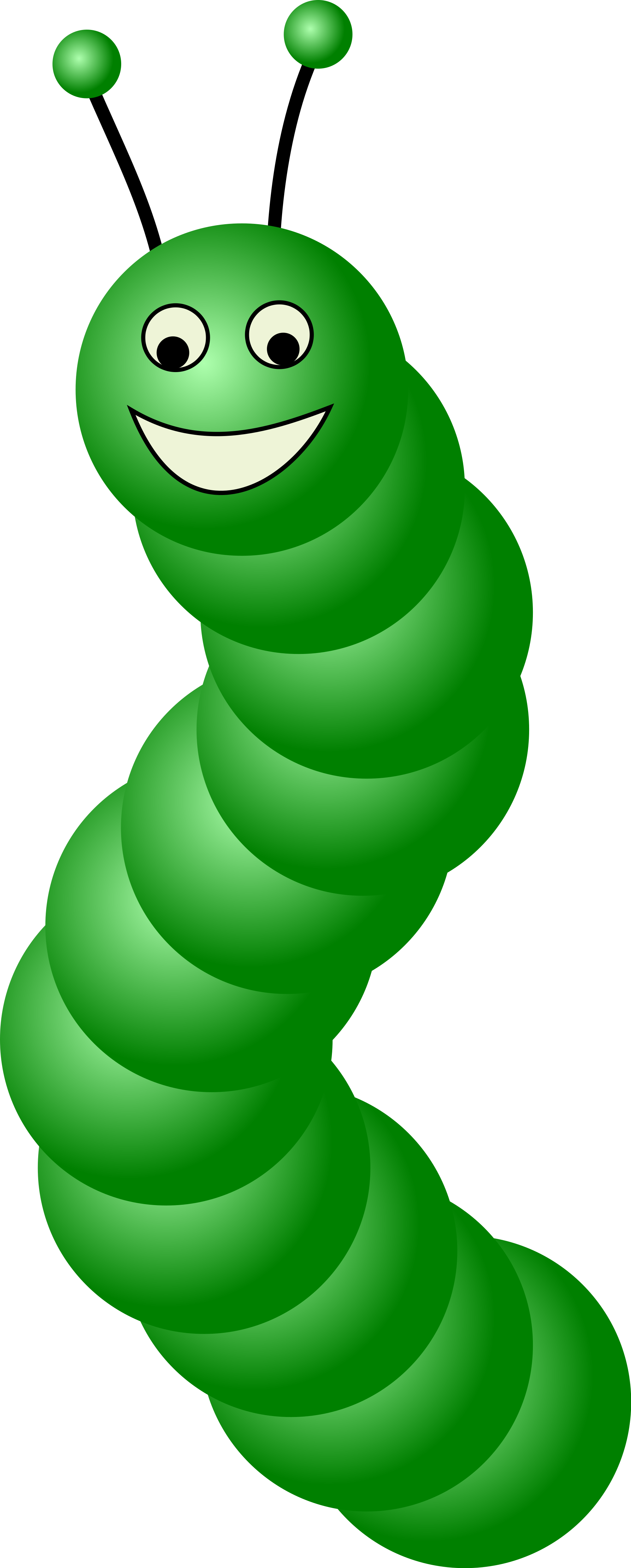 Caterpillars Cartoons Cartoon Caterpillars 4410639 - Caterpillar Clipart (2000x4973), Png Download