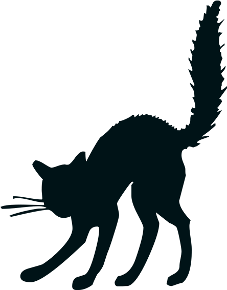 Chat Noir Png 600 600 Cattoos Pinterest - Halloween Black Cat Drawing Clipart (600x600), Png Download