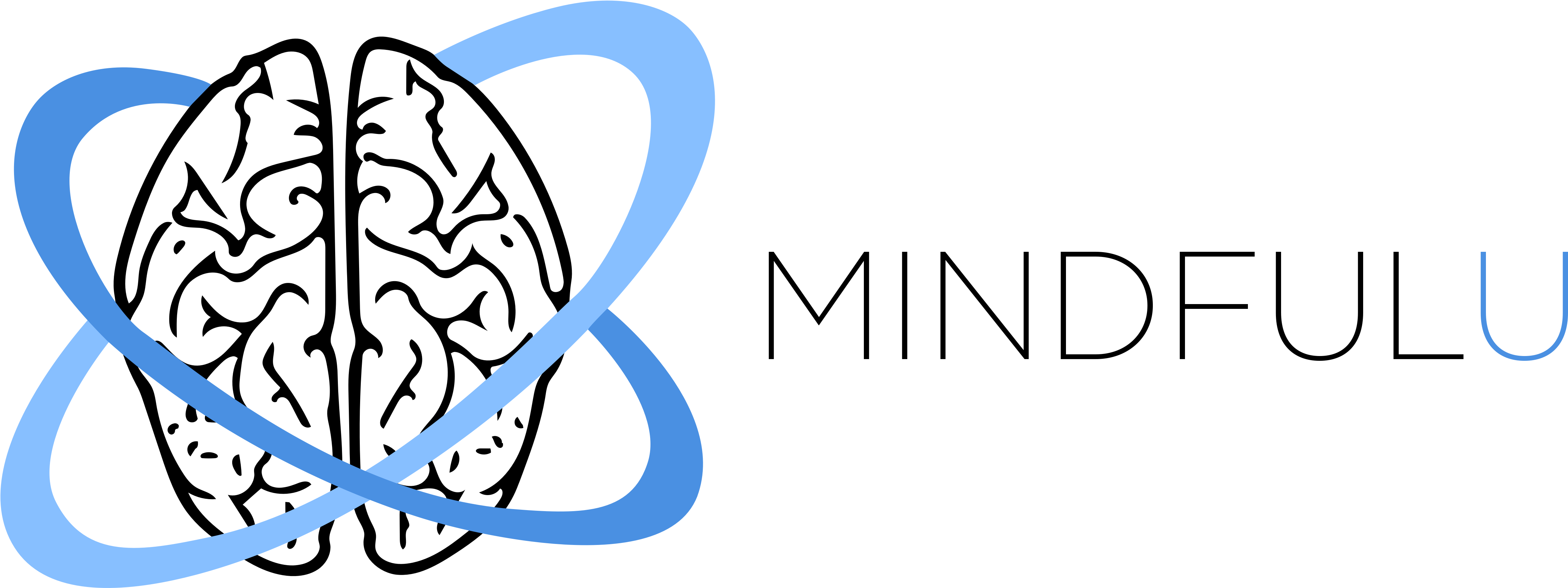 Student Ambassador Program - Ambassador Clipart (4872x2092), Png Download