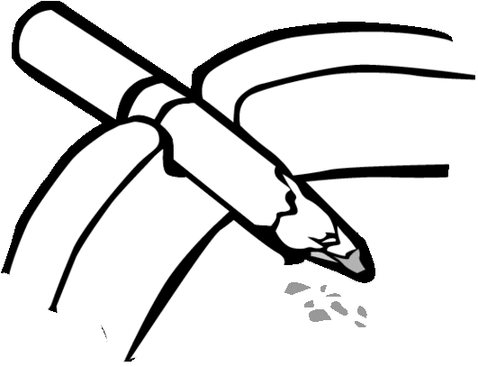 Free Download Clip Art Clipart Coloring Book Black - Png Download (564x800), Png Download