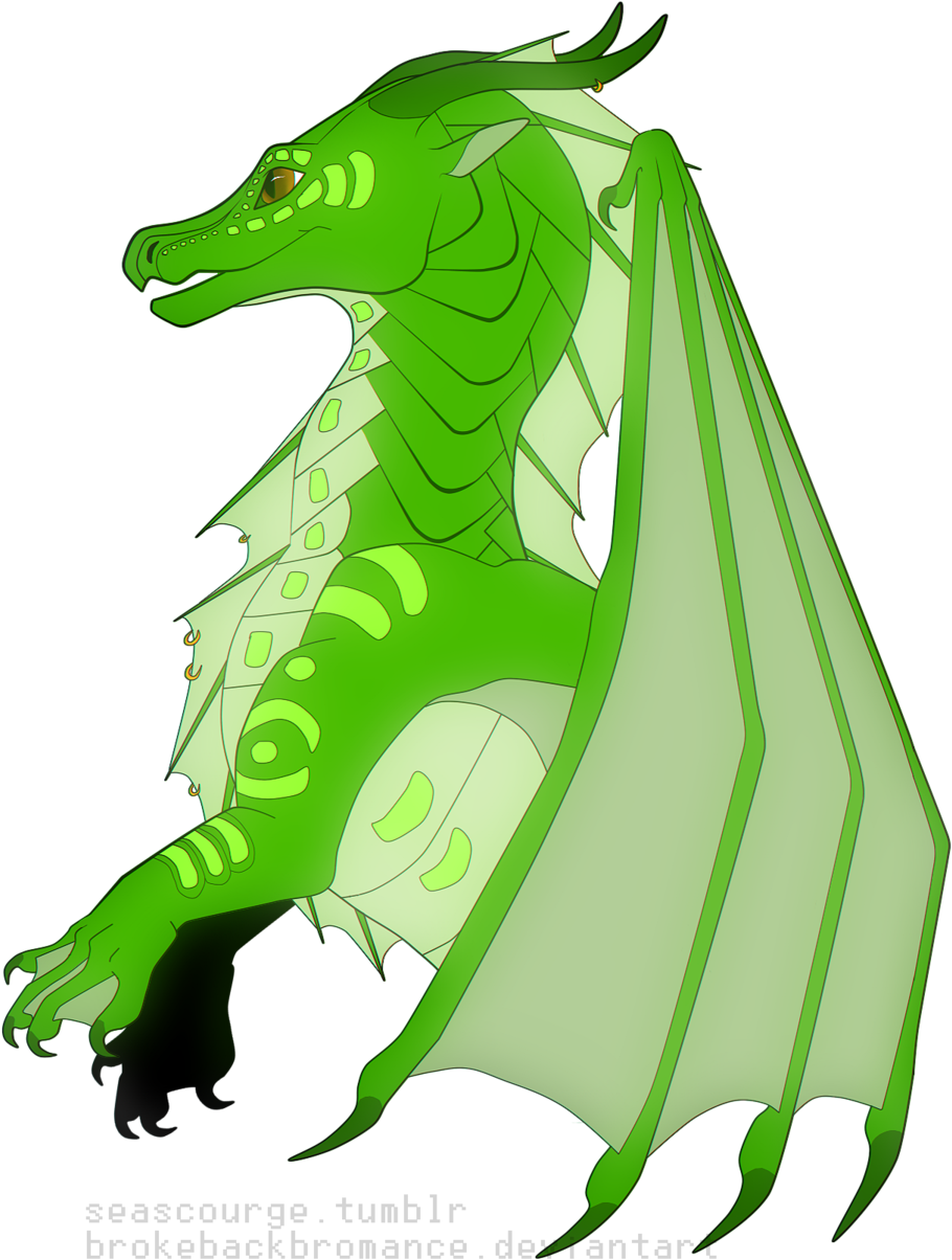 Eeeeeeeeeel - Portable Network Graphics Clipart (1024x1258), Png Download