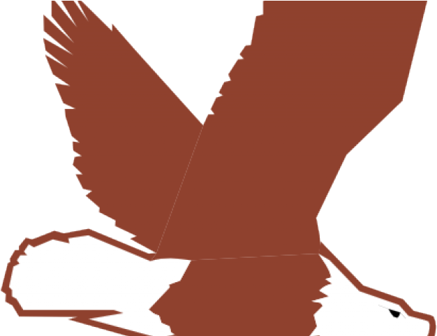 Bald Eagle Clipart Small Cartoon - Clip Art - Png Download (640x480), Png Download