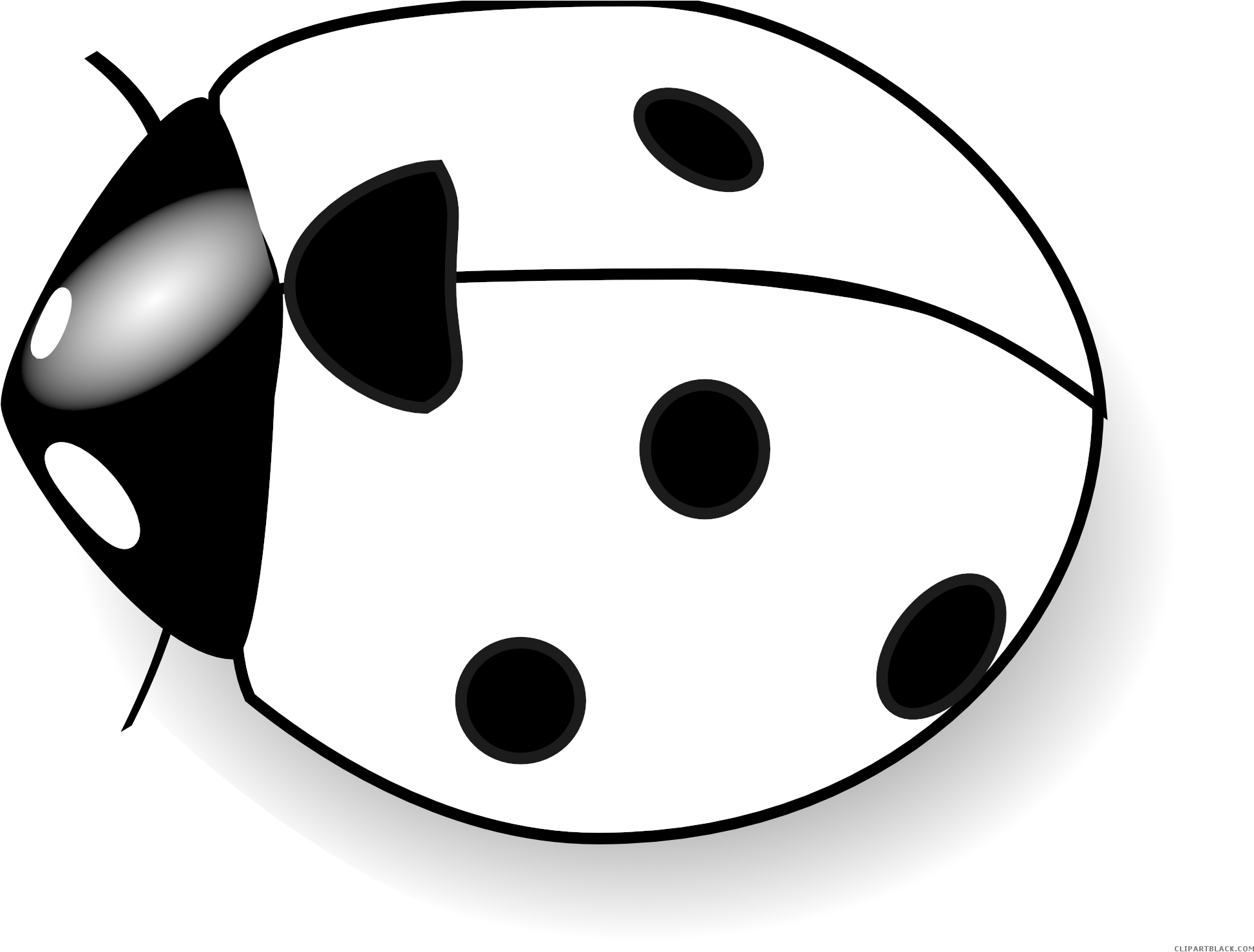 Graphic Black And White Library Clipartblack Com Animal - Blue And White Ladybug - Png Download (1969x1485), Png Download