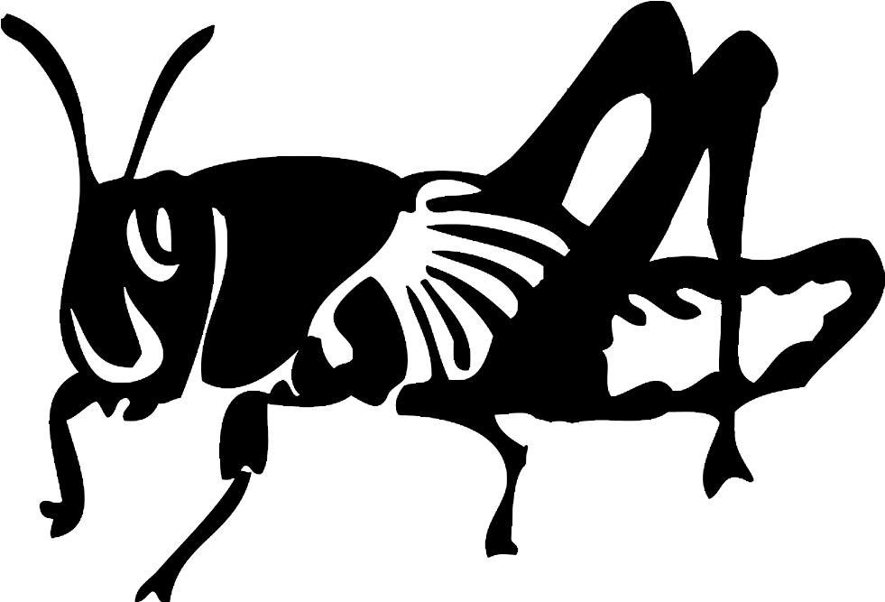 Locust Drawing Black And White - Locust Black And White Clipart (1024x768), Png Download