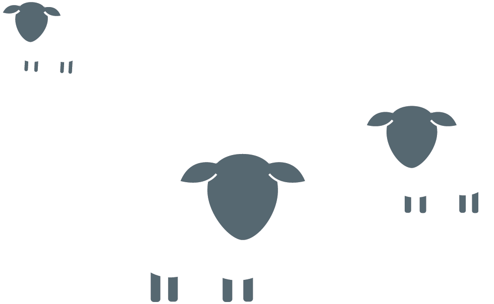 Other Sheep - Sheep Clipart (979x604), Png Download